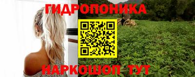 apvp Ставрополь